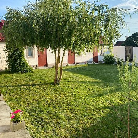 Casa David Leilighet Corbu Eksteriør bilde