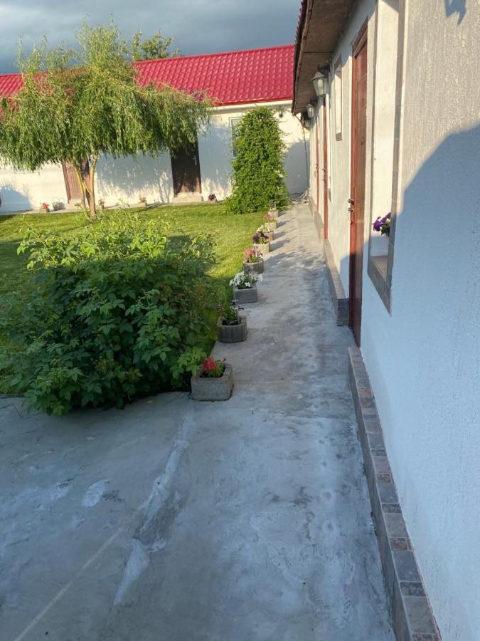 Casa David Leilighet Corbu Eksteriør bilde