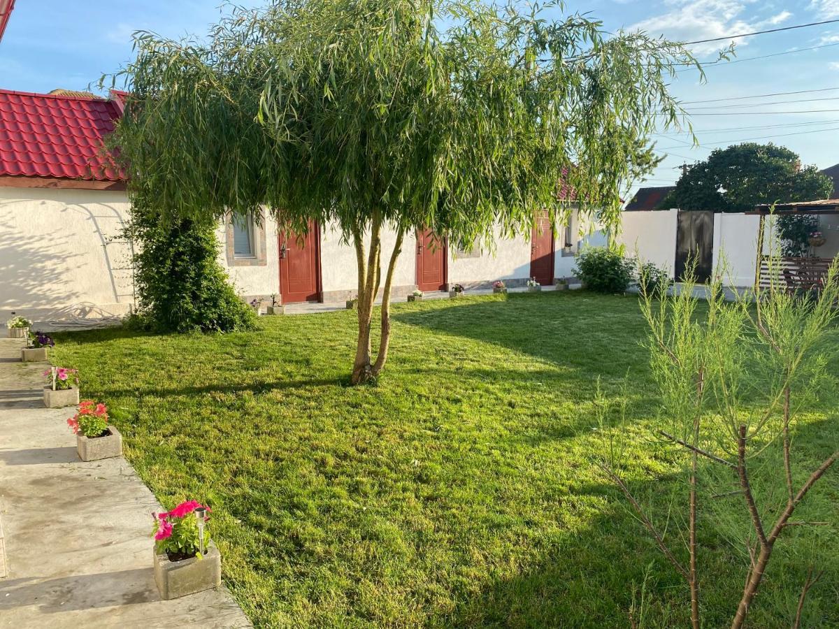 Casa David Leilighet Corbu Eksteriør bilde